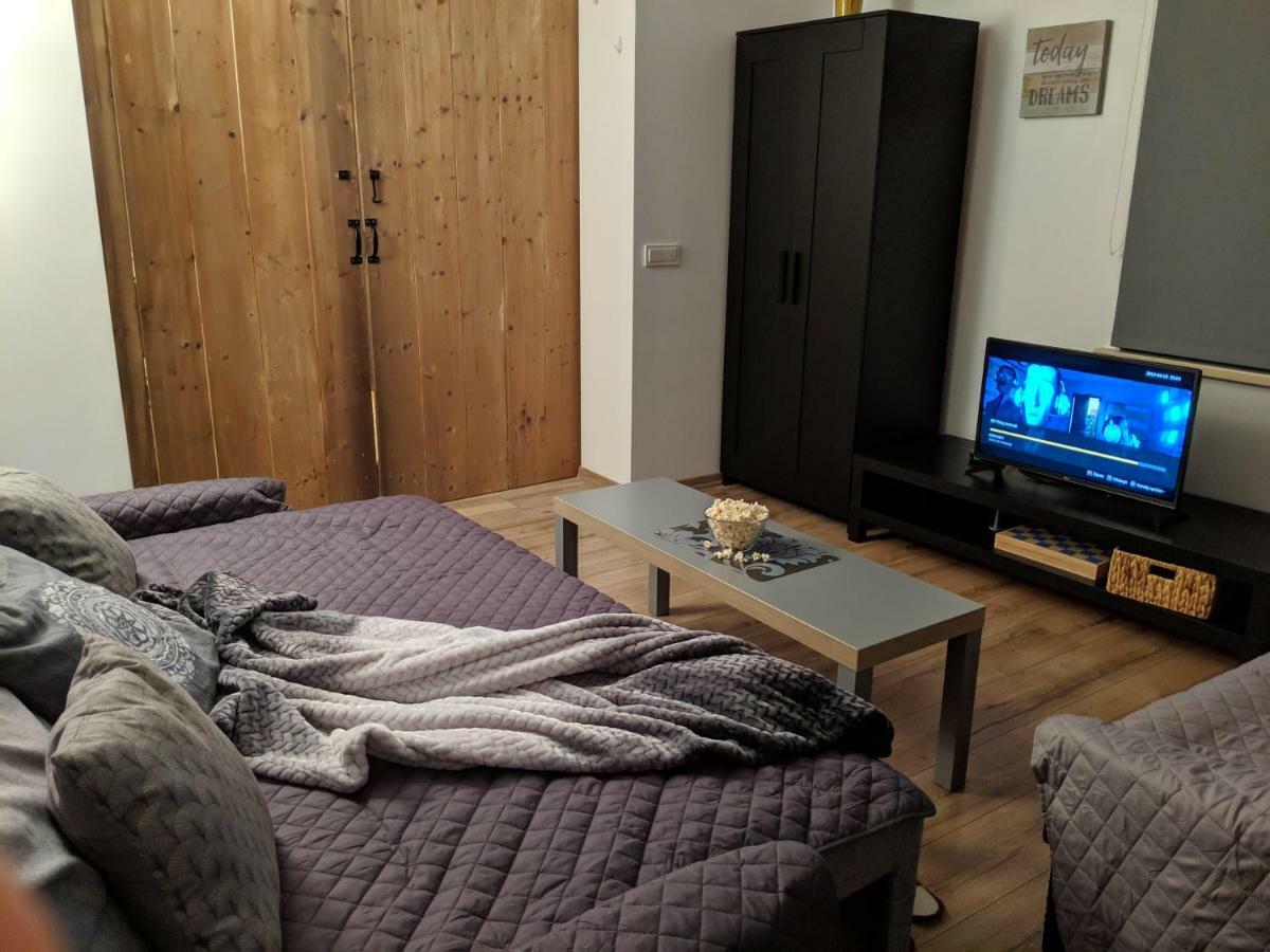 R&R Vacation House دروسكينينكاي المظهر الخارجي الصورة